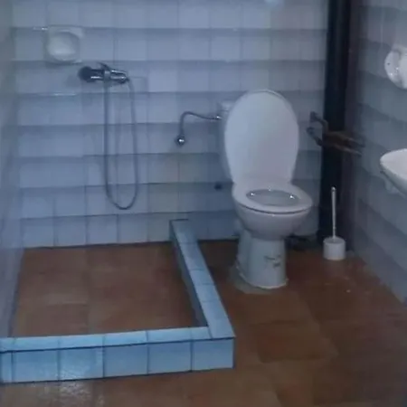 Casă la țară La Ionela *